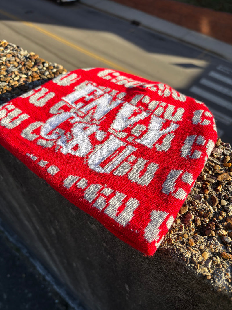 Envy C$U Beanie